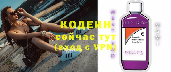 бошки Бородино