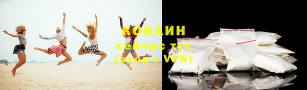 бошки Бородино