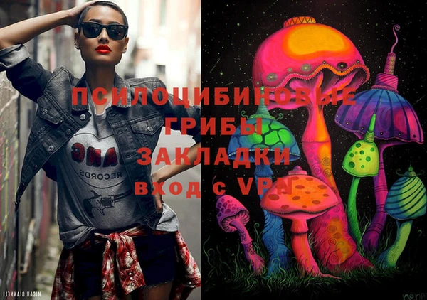 бошки Бородино