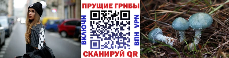 даркнет сайт  ОМГ ОМГ онион  Псилоцибиновые грибы Magic Shrooms  Кущёвская 