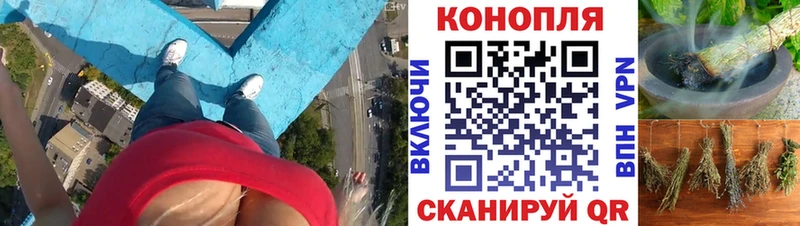Бошки марихуана MAZAR  продажа наркотиков  Кущёвская 